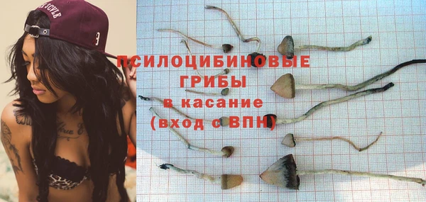твердый Алзамай